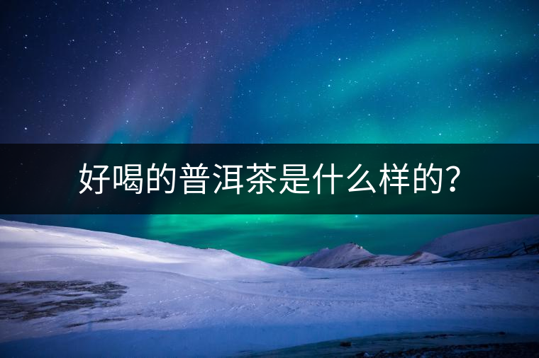 好喝的普洱茶是什么樣的？