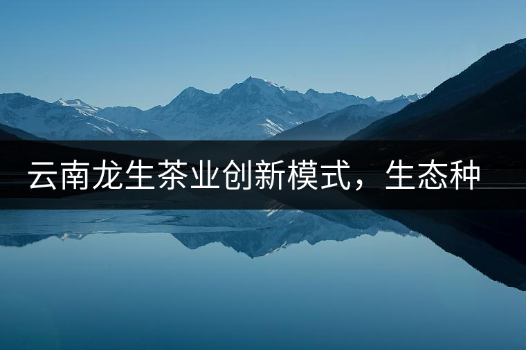 云南龍生茶業(yè)創(chuàng)新模式，生態(tài)種植