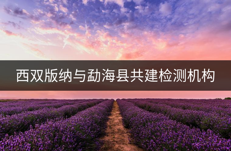 西雙版納與勐?？h共建檢測(cè)機(jī)構(gòu)