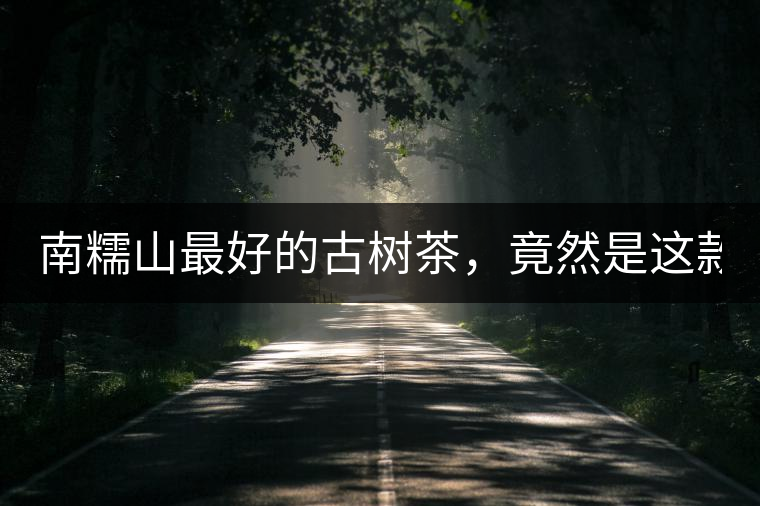 南糯山最好的古樹茶，竟然是這款！