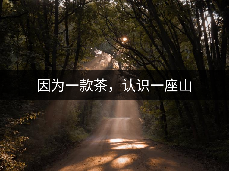 因?yàn)橐豢畈?，認(rèn)識(shí)一座山