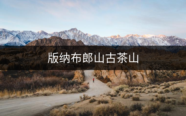 版納布郎山古茶山