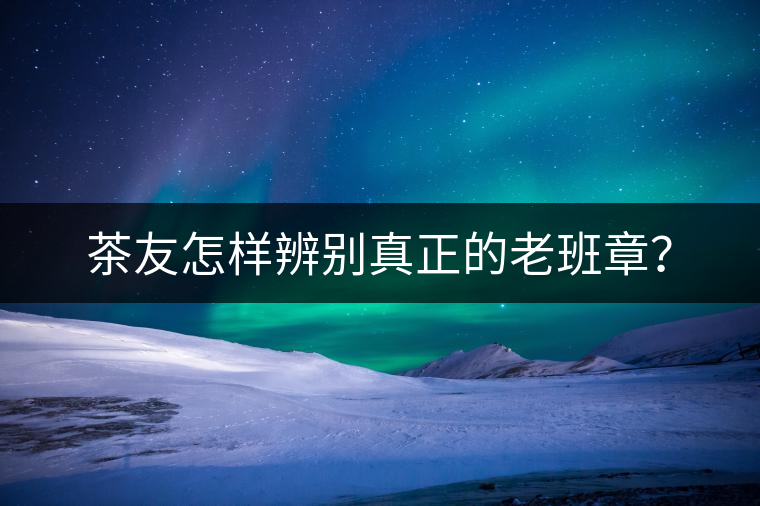 茶友怎樣辨別真正的老班章？