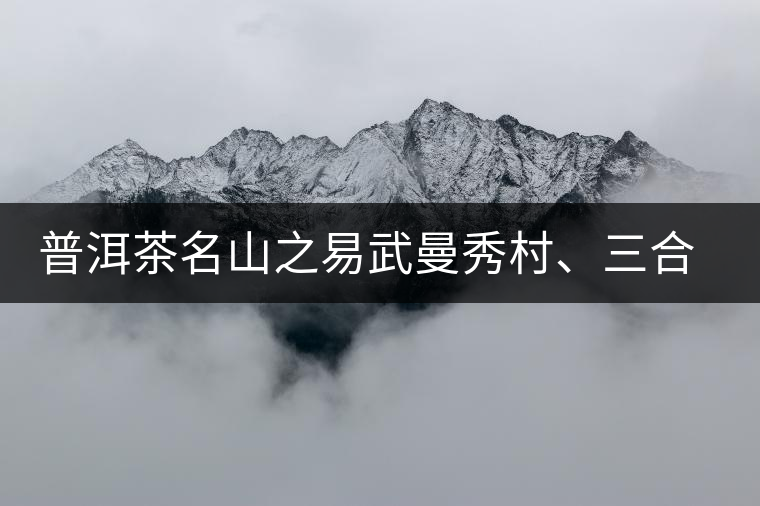 普洱茶名山之易武曼秀村、三合社村