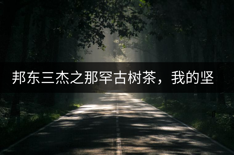 邦東三杰之那罕古樹茶，我的堅(jiān)持