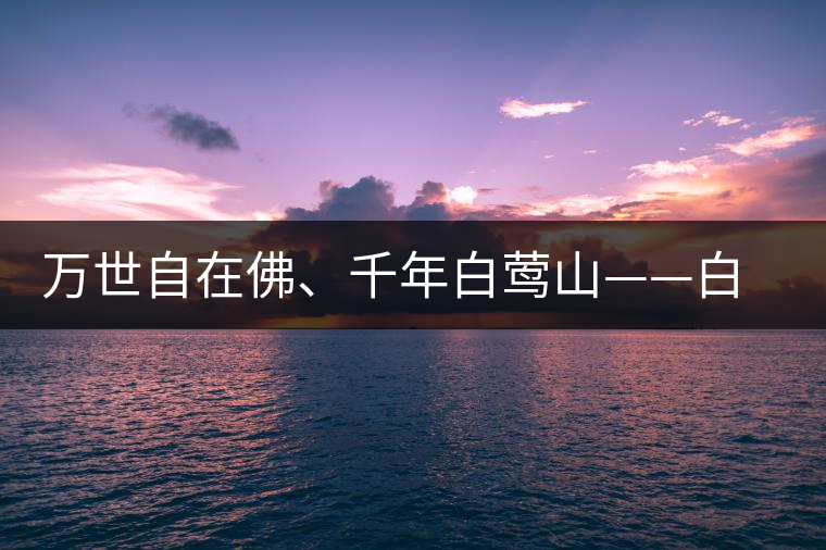 萬世自在佛、千年白鶯山——白鶯山古樹茶特點