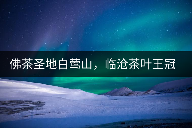 佛茶圣地白鶯山，臨滄茶葉王冠上的明珠