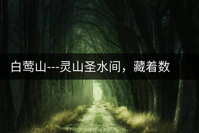 白鶯山---靈山圣水間，藏著數(shù)不盡的佛茶佳話