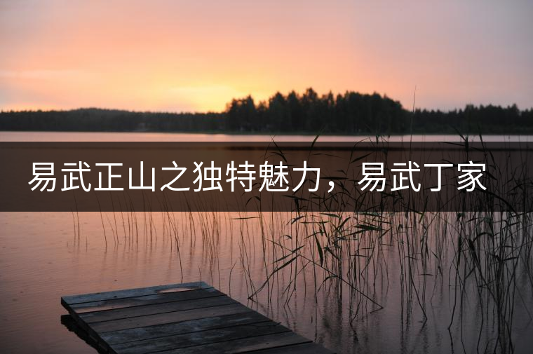 易武正山之獨(dú)特魅力，易武丁家寨介紹品鑒