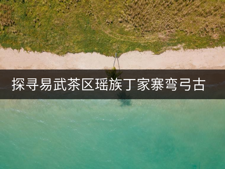 探尋易武茶區(qū)瑤族丁家寨彎弓古茶園介紹