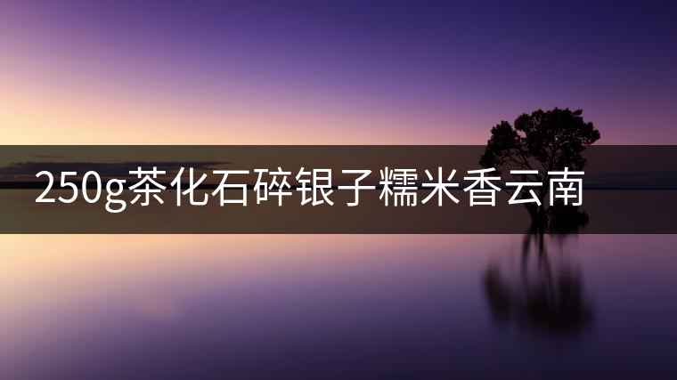 250g茶化石碎銀子糯米香云南普洱茶熟茶老茶頭散茶小沱茶袋裝黑茶 250g茶化石碎銀子糯米香云南普洱茶熟茶老茶頭散茶小沱茶袋裝黑茶