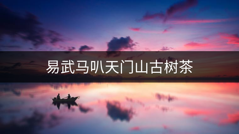 易武馬叭天門山古樹茶 易武馬叭天門山古樹茶