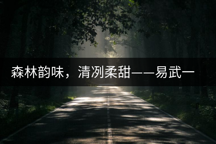森林韻味，清冽柔甜——易武一扇磨古樹茶特點(diǎn)