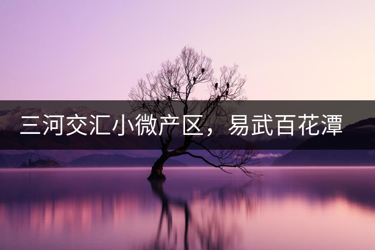 三河交匯小微產(chǎn)區(qū)，易武百花潭古茶園介紹