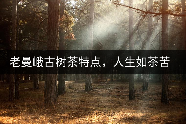 老曼峨古樹茶特點，人生如茶苦盡甘來