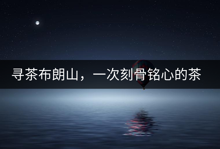 尋茶布朗山，一次刻骨銘心的茶山行