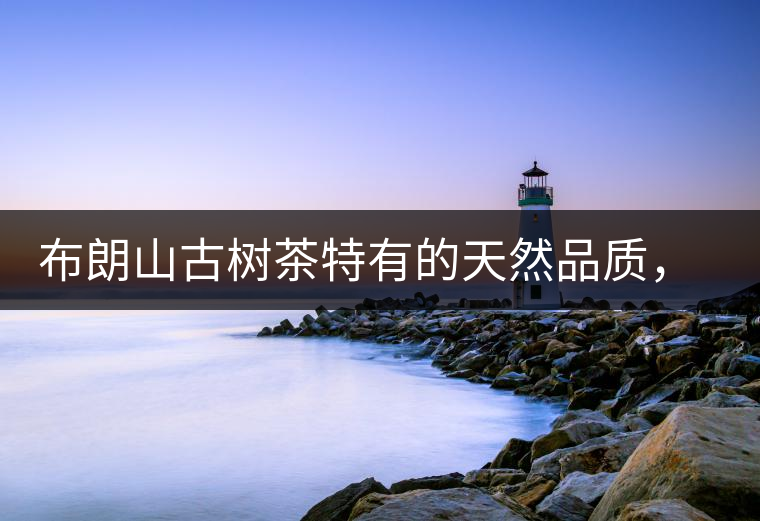 布朗山古樹茶特有的天然品質(zhì)，給健康生活保駕護(hù)航