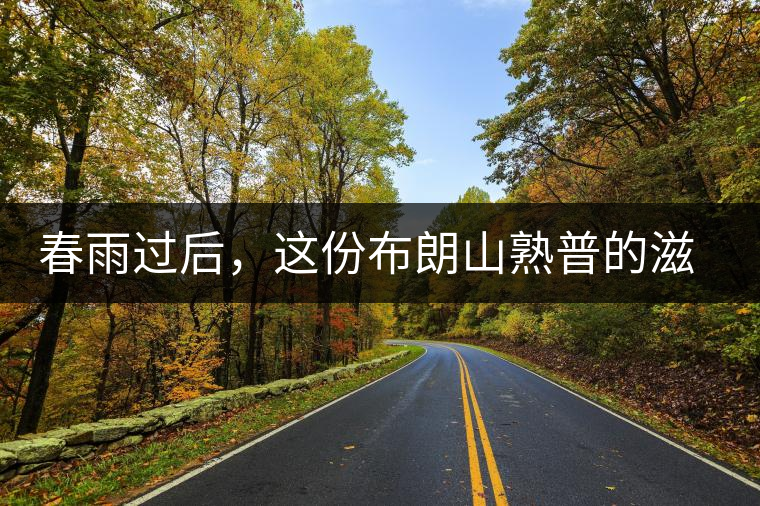 春雨過后，這份布朗山熟普的滋味正當(dāng)時