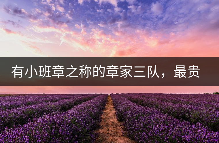 有小班章之稱的章家三隊，最貴的小樹茶