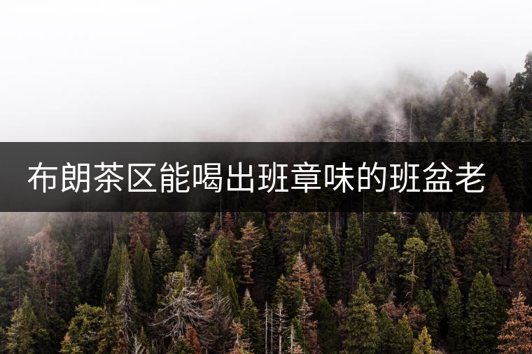 布朗茶區(qū)能喝出班章味的班盆老寨你知道嗎？