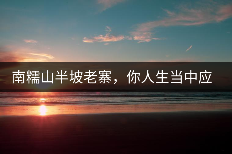 南糯山半坡老寨，你人生當中應(yīng)該入手的第一片勐海味古樹純料普洱茶