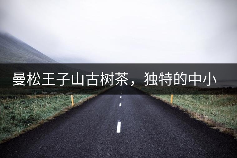 曼松王子山古樹茶，獨特的中小葉種珍品貢茶