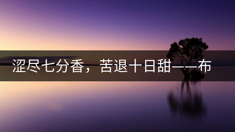 澀盡七分香，苦退十日甜——布朗山千年古寨曼新龍