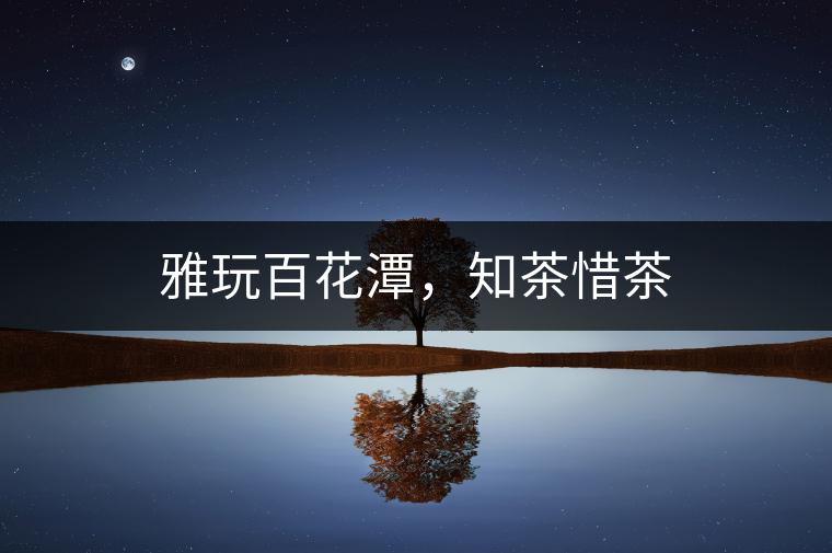 雅玩百花潭，知茶惜茶