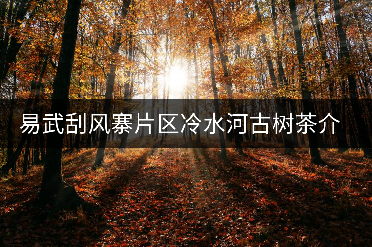 易武刮風(fēng)寨片區(qū)冷水河古樹(shù)茶介紹