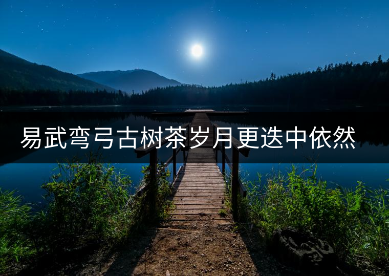 易武彎弓古樹茶歲月更迭中依然燦爛的夜明珠 易武彎弓古樹茶歲月更迭中依然燦爛的夜明珠