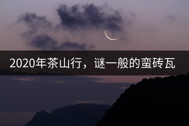 2020年茶山行，謎一般的蠻磚瓦竜古茶山