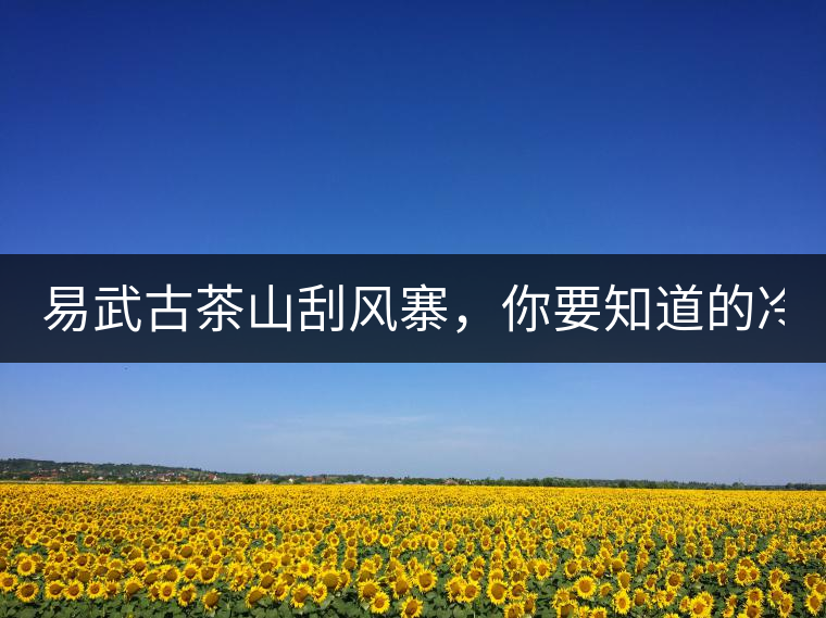 易武古茶山刮風(fēng)寨，你要知道的冷知識(shí)！