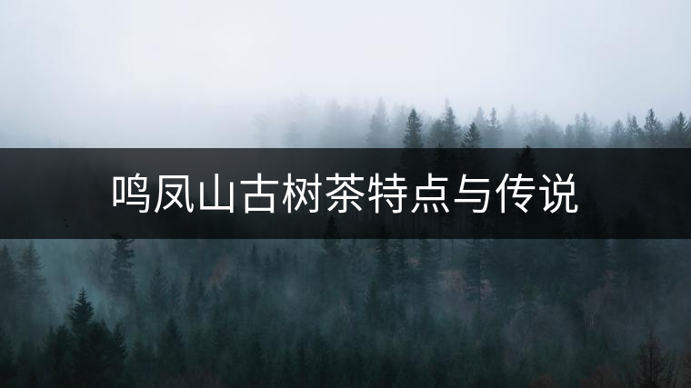 鳴鳳山古樹(shù)茶特點(diǎn)與傳說(shuō)