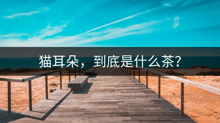 貓耳朵，到底是什么茶？