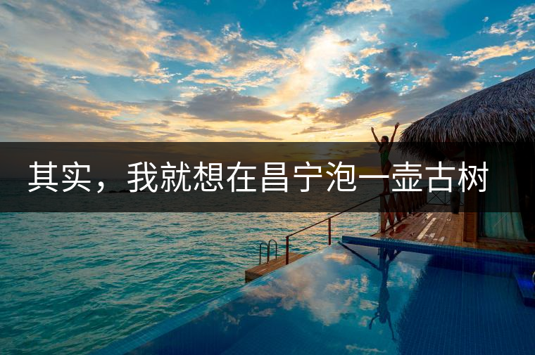 其實(shí)，我就想在昌寧泡一壺古樹(shù)茶