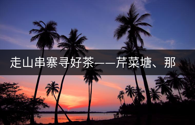 走山串寨尋好茶——芹菜塘、那罕、曼崗、昔歸