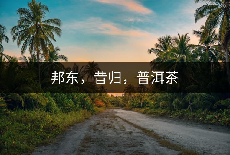 邦東，昔歸，普洱茶