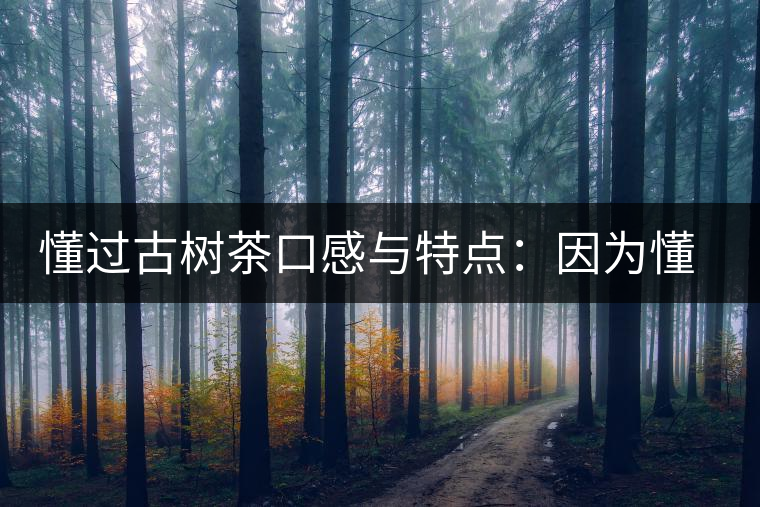 懂過古樹茶口感與特點：因為懂得，所以舍得用余生來珍惜！