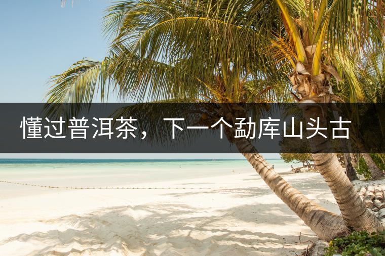 懂過普洱茶，下一個勐庫山頭古純的引爆點