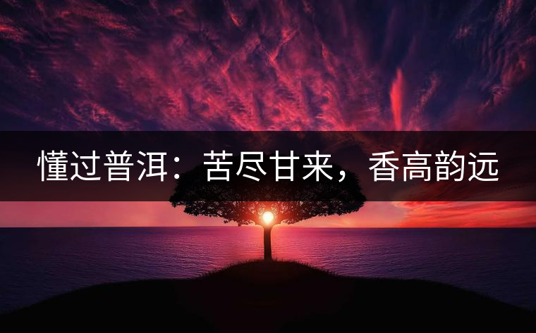 懂過普洱：苦盡甘來，香高韻遠(yuǎn)