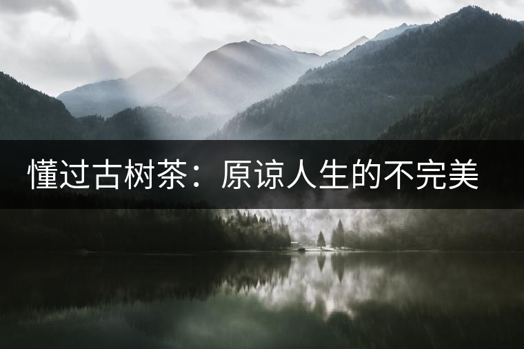 懂過古樹茶：原諒人生的不完美，多一次心靈的回歸！