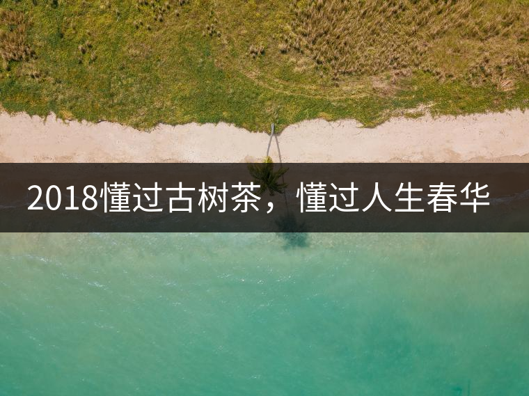 2018懂過古樹茶，懂過人生春華秋實(shí)！