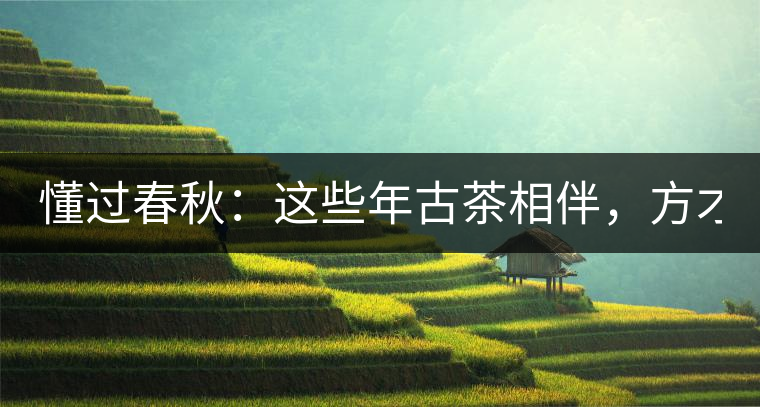 懂過春秋：這些年古茶相伴，方才懂過！