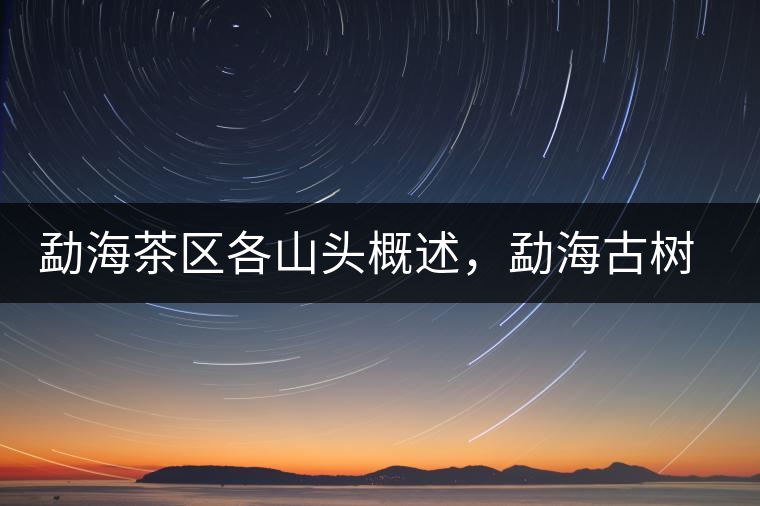 勐海茶區(qū)各山頭概述，勐海古樹茶口感特點