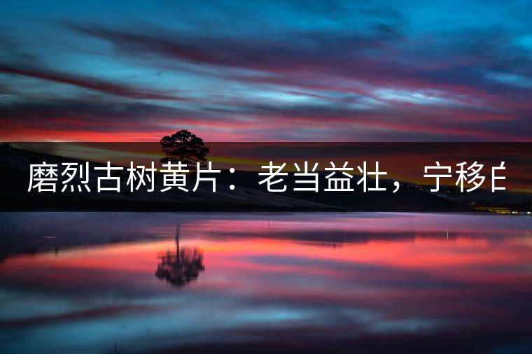 磨烈古樹黃片：老當益壯，寧移白首之心！