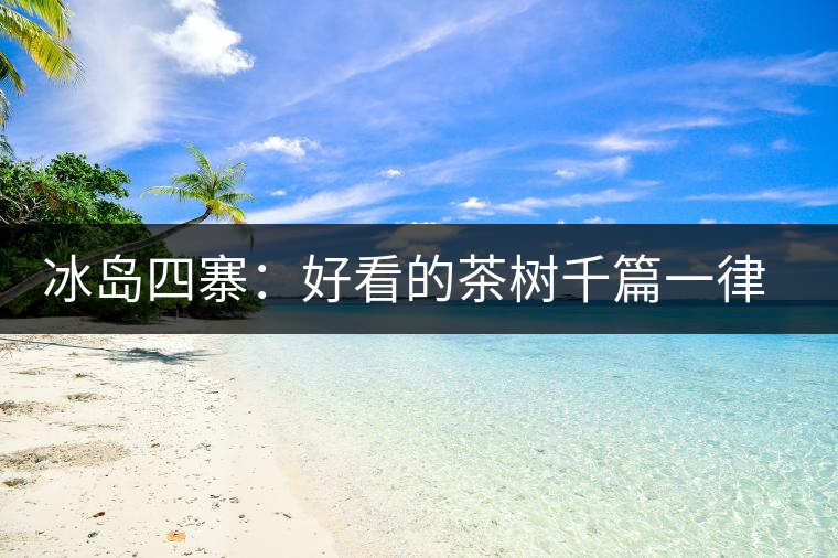 冰島四寨：好看的茶樹千篇一律，有趣的風景萬里