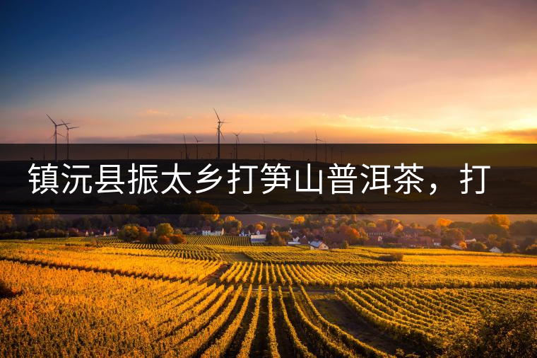 鎮(zhèn)沅縣振太鄉(xiāng)打筍山普洱茶，打筍山古樹茶口感特點(diǎn)