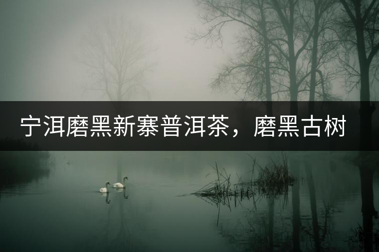 寧洱磨黑新寨普洱茶，磨黑古樹茶口感特點(diǎn)