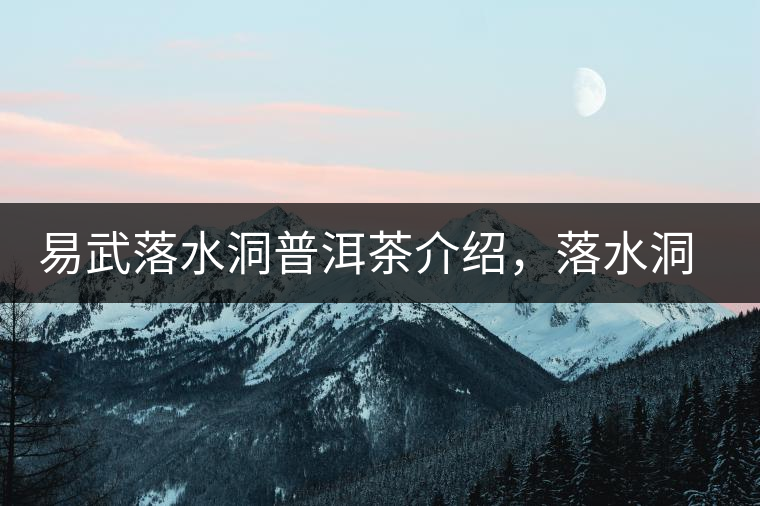 易武落水洞普洱茶介紹，落水洞古樹茶口感特點