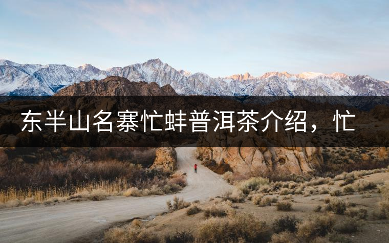 東半山名寨忙蚌普洱茶介紹，忙蚌古樹(shù)茶口感特點(diǎn)